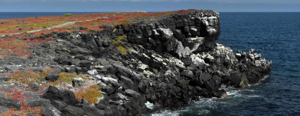 A black basalt cliff is topped with vibrant ornage and green scrub on Santa Cruz, Galápagos