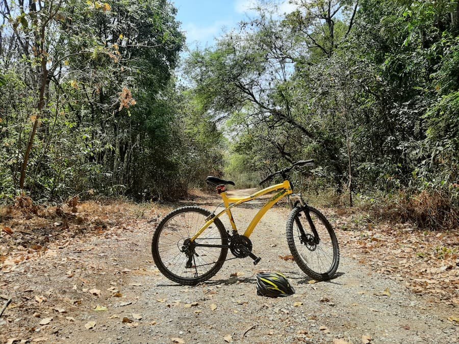 A yellow mounatin bike on a trail through the protected forest of Cerro Blanco near Guayaquil, Ecuador