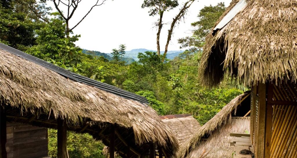The rainforest can be seen through some thatched huts in the Amazon, Ecuador. Wheely Tyred Best multi-day tours in Tena