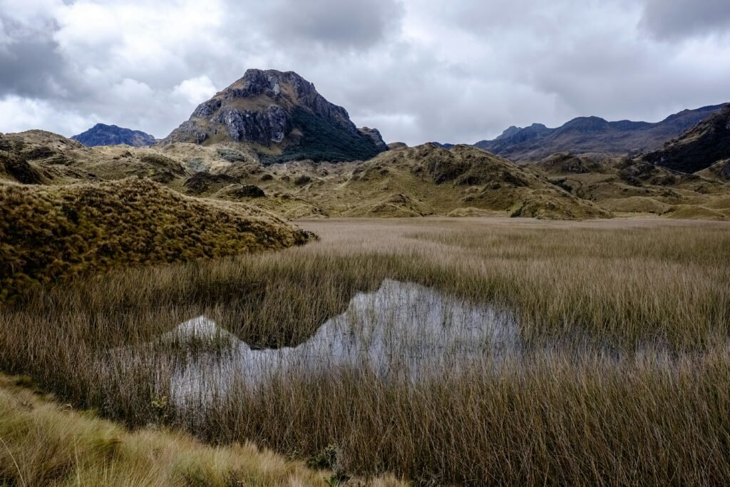 The wild paramo in Cajas National Park, near Cuenca, Ecuador
