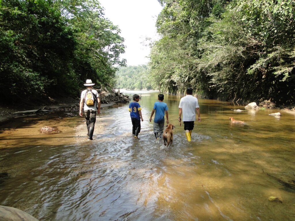 People walk through a river in the Amazon near Tena, Ecuador