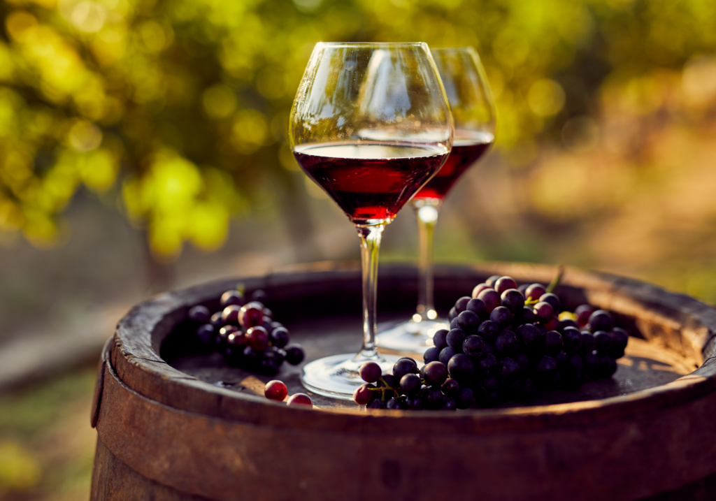 Two glasses of wine in a vineyard near Guayaquil, Ecuador
