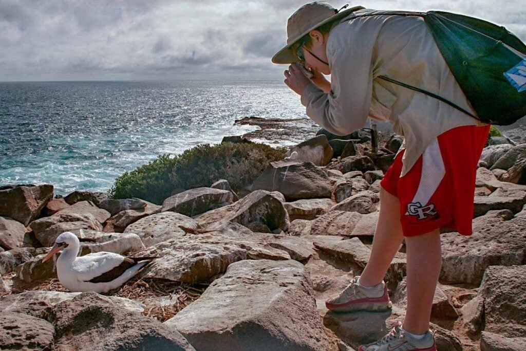 A woman takes a picture of a blue-footed booby on Isla Isabela, Galápagos Islands