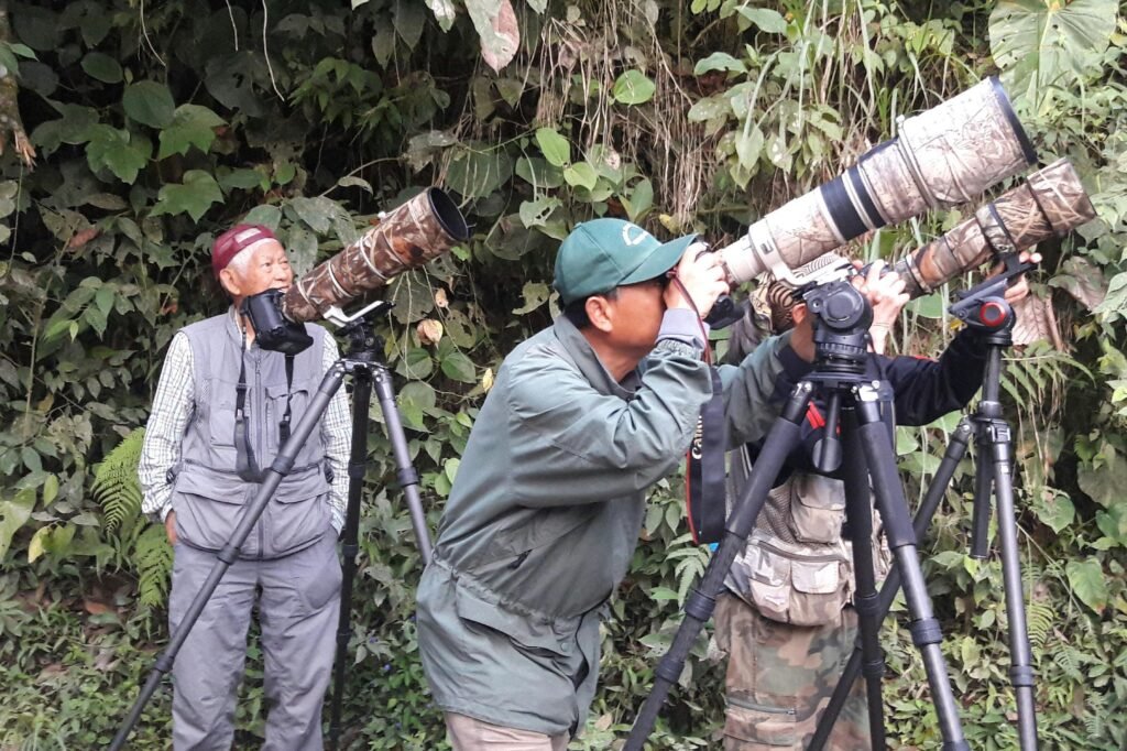 A small group of men in camouflage outfits and with long-lens cameras in the cloud forest in Ecuador. Wheely Tyred Best Mindo Birdwatching Tours