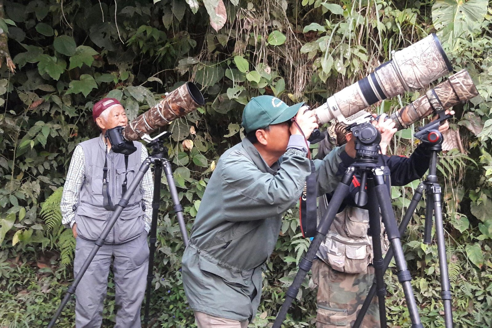 A small group of men in camouflage outfits and with long-lens cameras in the cloud forest in Mindo, Ecuador