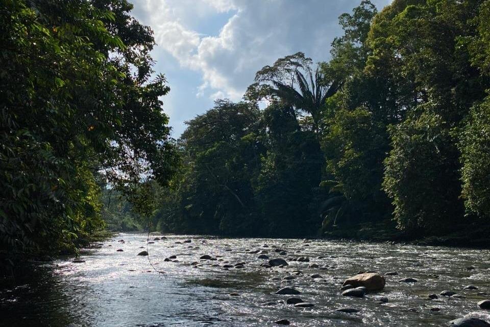 A river flows through the Amazon near Puyo, Ecuador