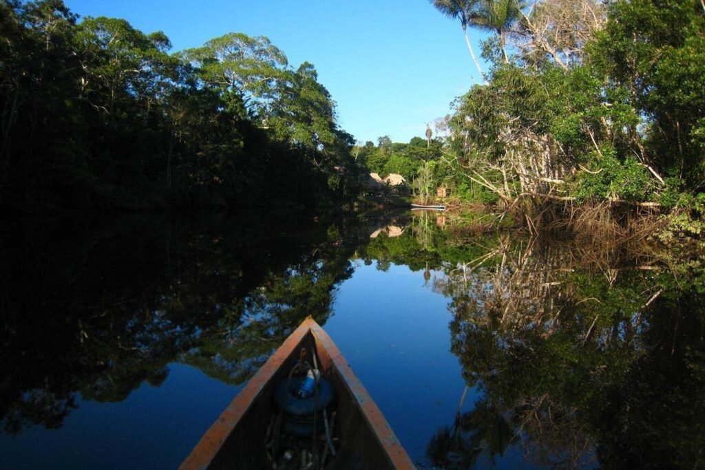 The prow of a canoe on a river in the Amazon, Ecuador
