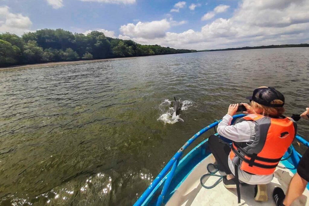 A person takes a picture of a dolphin on the Guayas River near Guayaquil, Ecuador