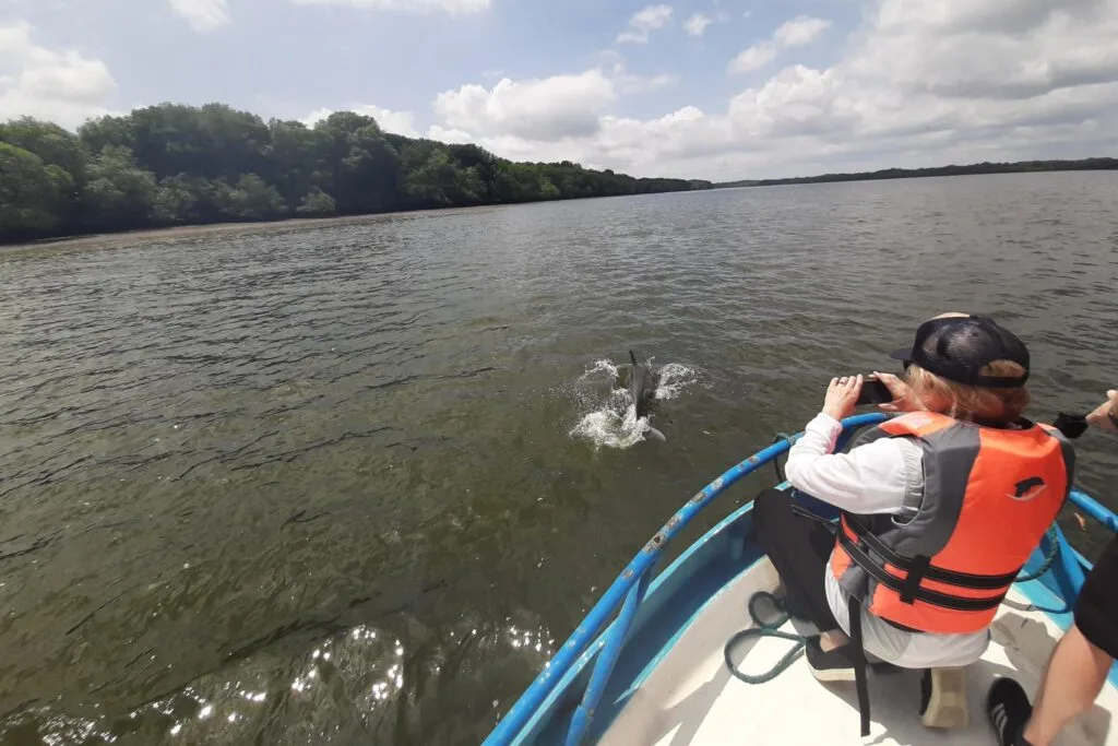 A person takes a picture of a dolphin from a boat near Guayaquil. Wheely Tyred Best Ecuador coast boat tours