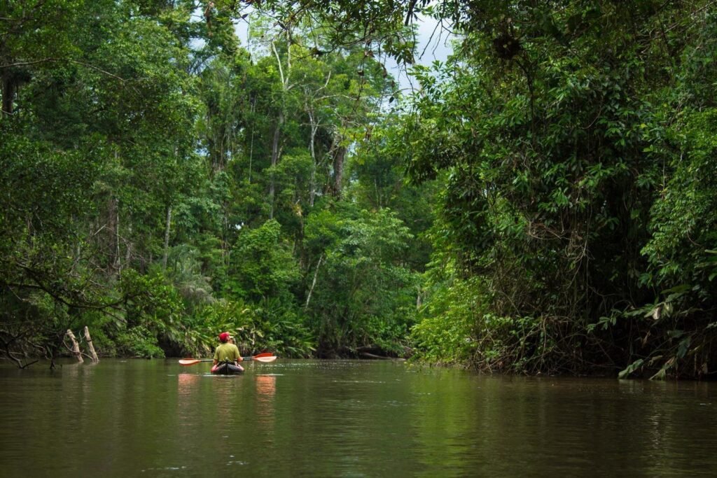 A canoe paddles along a river through the Rainforest in Ecuador. Best Amazon multi-day tours