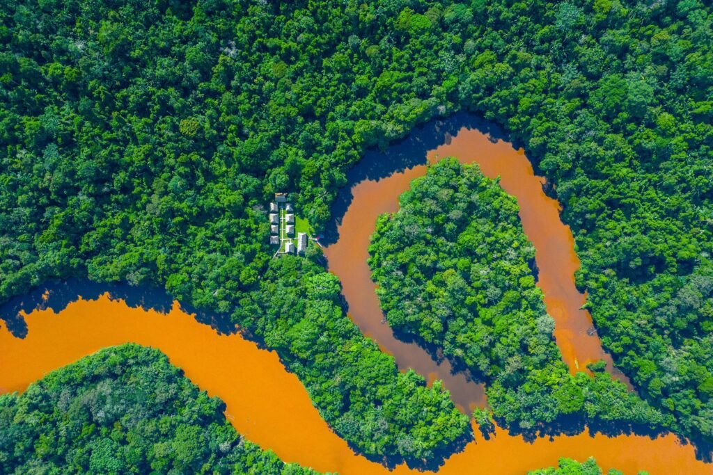 Tributaries to the Amazon curve through the rainforest beside a lodge in Ecuador