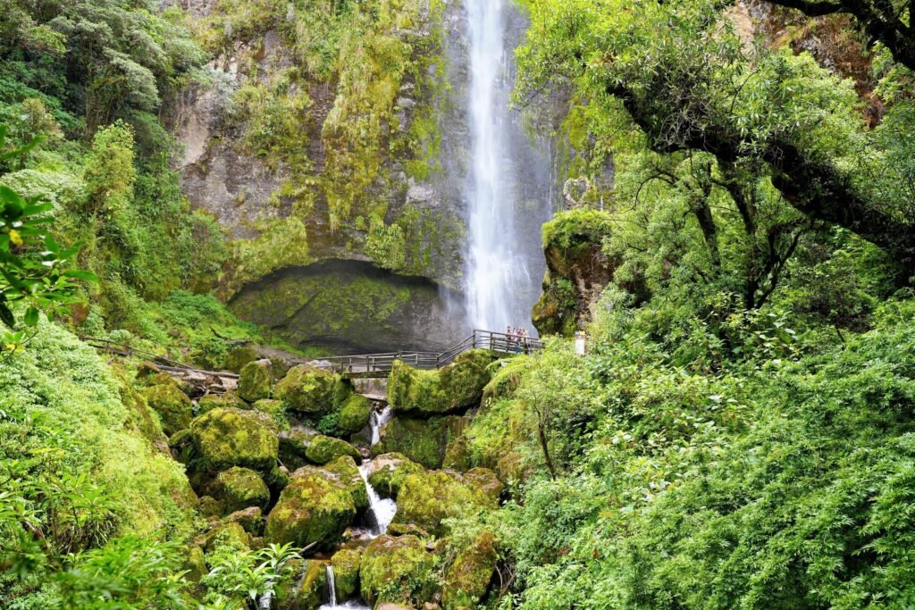 A waterfall plunges through greenery into a pool near Cuenca, Ecuador