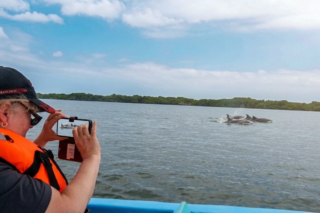 A woman on a boat takes a picture of three dolphins swimming in the water near Guayaquil, Ecuador