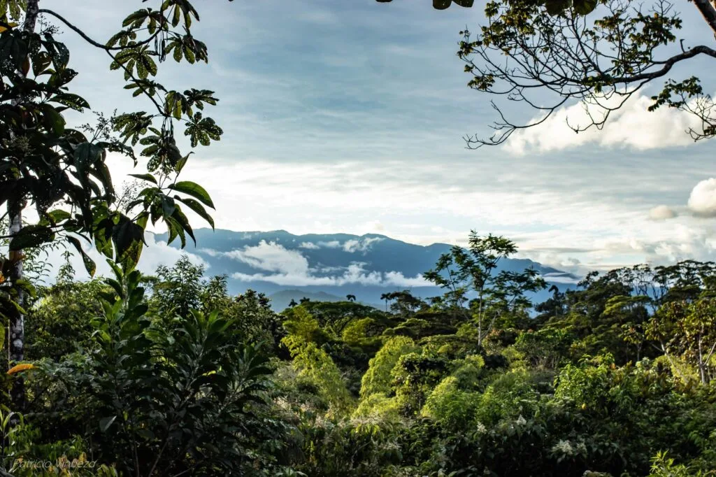 Mountains tower over the Amazon in Ecuador. Wheely Tyred Best Puyo multi-day tours