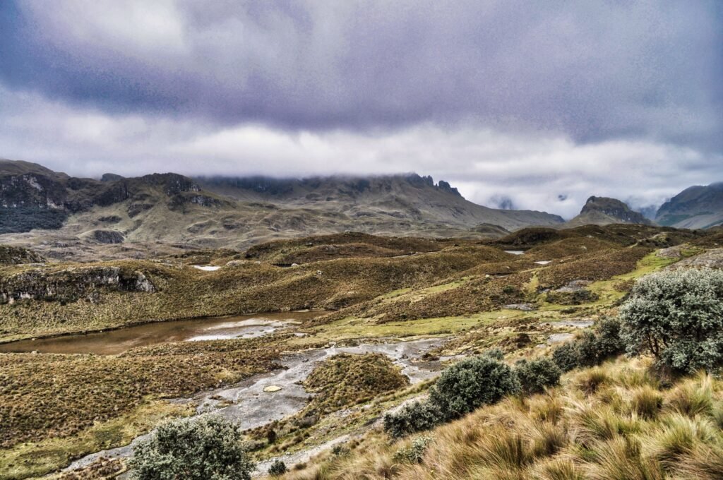 The wild paramo in a National Park, near Cuenca, Ecuador. Wheely Tyred Parque Nacional Cajas UFO