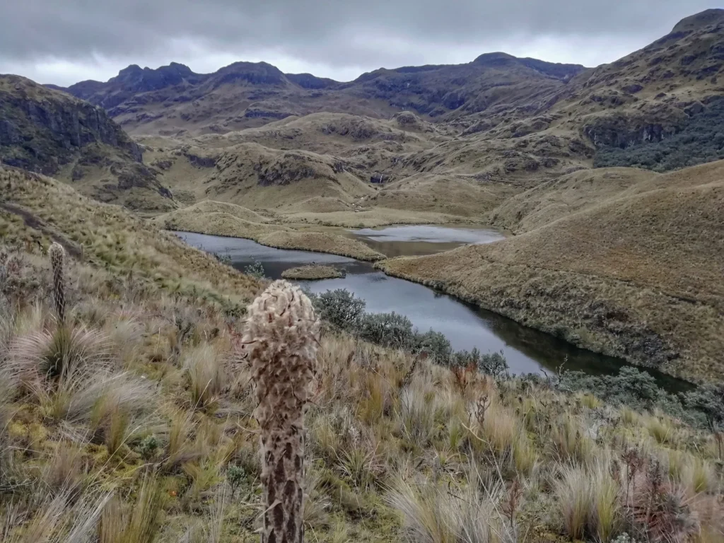 The wild, almost barren, landscape of Cajas National Park, Cuenca, Ecuador