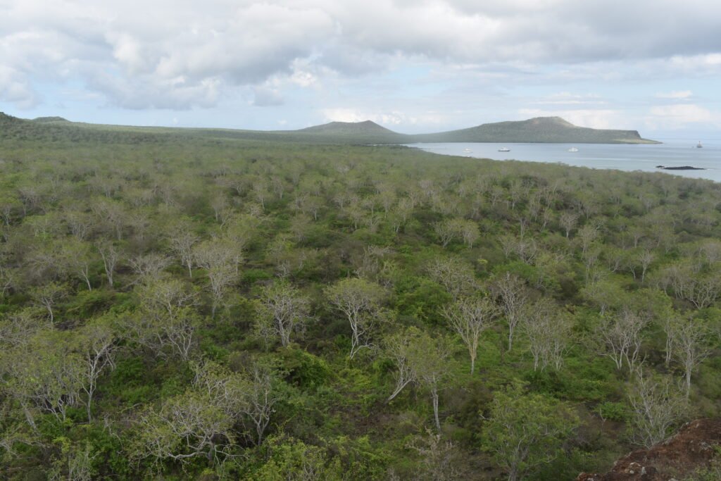 A view of Post Office Bay, from Mirador de la Baronesa (Baroness's Lookout), on the Galapagos Islands, Ecuador. Wheely Tyred Hidden gems on Floreana