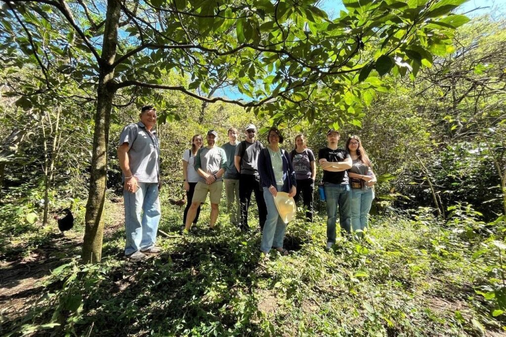 A group of people stand under some trees in a coffee farm near Loja, Ecuador