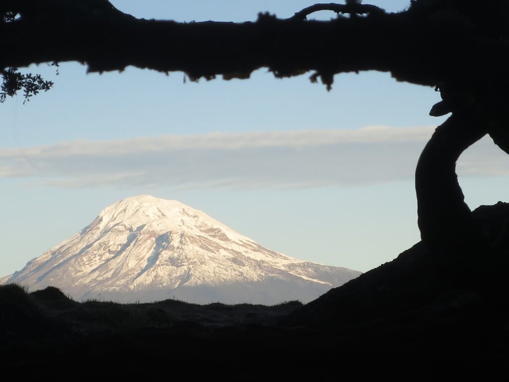 Chimborazo volcano towers over the paramo in Ecuador