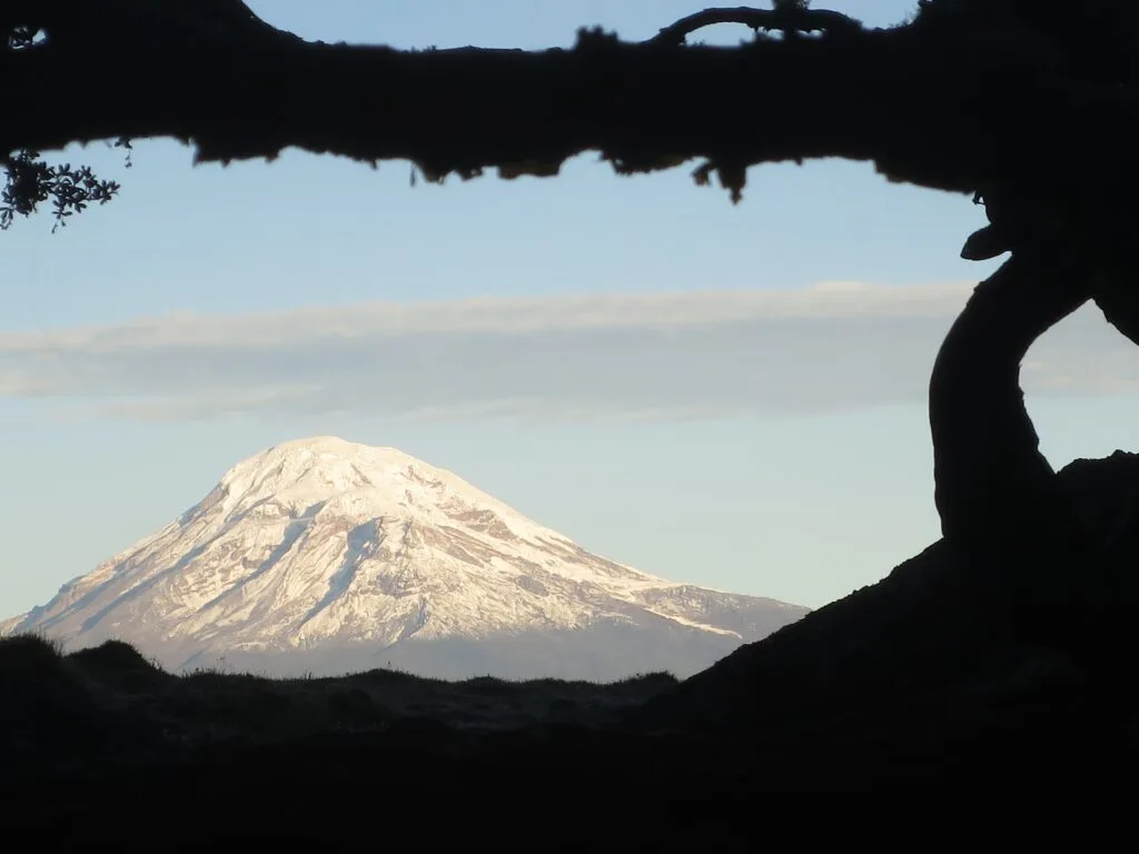 Chimborazo volcano towers over the paramo in Ecuador
